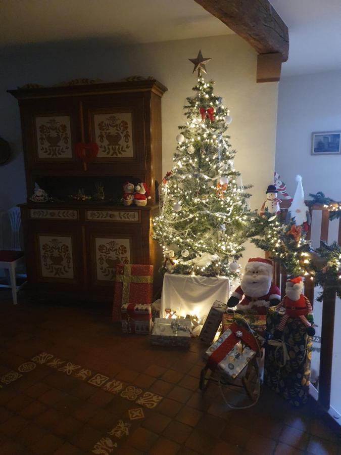 Gite Des Ecureuils Obernai Bagian luar foto